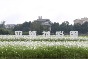 8463E8E8-2D53-48B6-9C50-441ACC6EB4BD