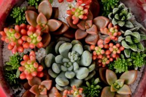 1.首圖-企業花禮送禮推薦-1-1024x683