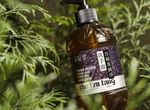 【茶籽堂】肖楠葉純淨洗手露