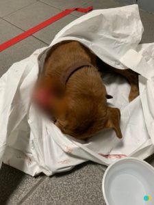 DE08E0D1-8BC4-409F-AA81-908139B75FBC