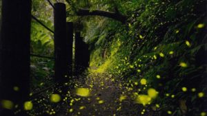 DA6C5AC8-3698-42CD-875F-8CD7145E8F00