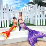遠雄海洋公園「歡迎洄來」 再造新局
